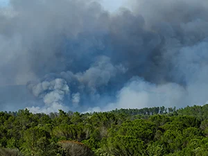 Potential Delays Due to Wildfires in France and Spain