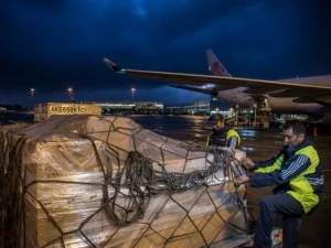 International Shipping That Moves With Your Business