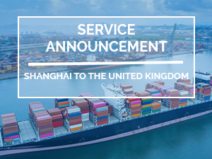 LCL Ocean Freight from Shanghai to the United Kingdom