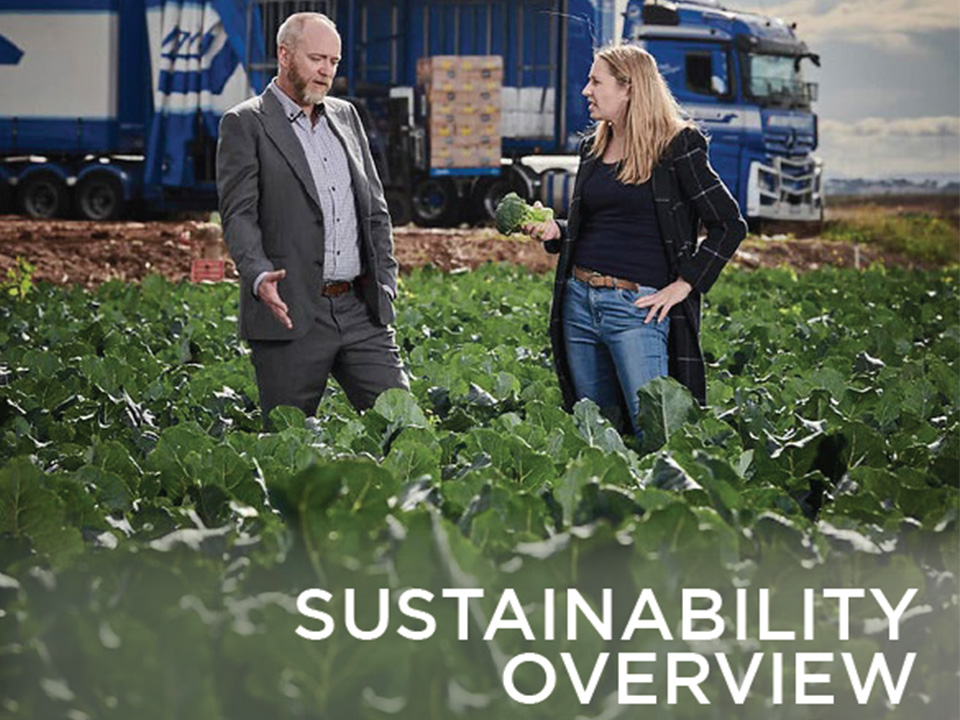 Mainfreight Sustainability Overview | 2022