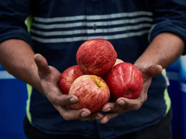 Your Supply Chain, Supercharged.