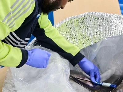 Temperature monitoring